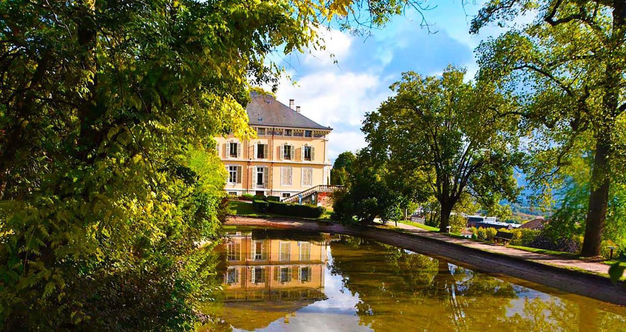 Appart'Hotel Chaleureux Au Coeur De Tullins - Le Roitelet Buitenkant foto