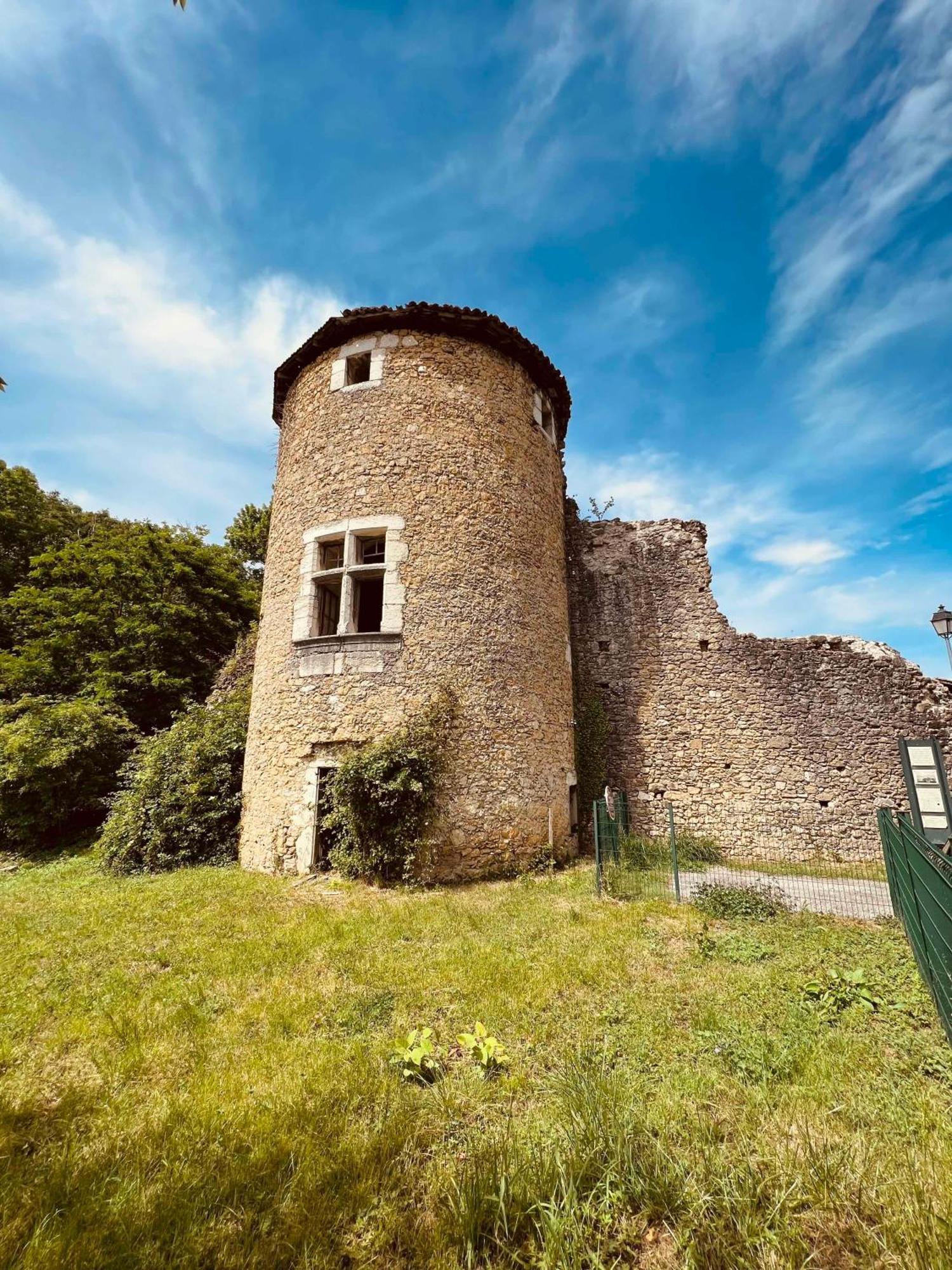 Appart'Hotel Chaleureux Au Coeur De Tullins - Le Roitelet Buitenkant foto